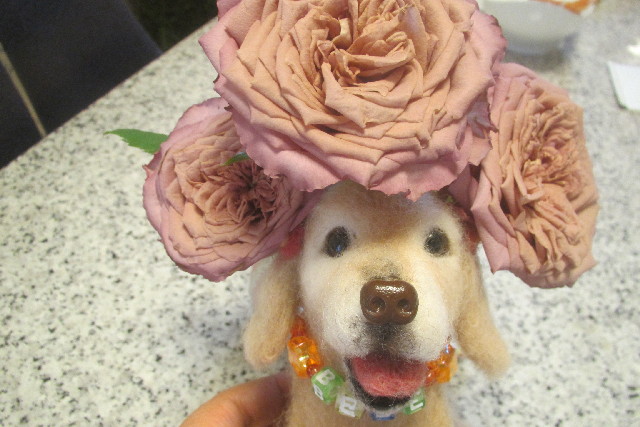 ファイル 3103-5.jpg