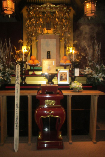 ファイル 3104-1.jpg