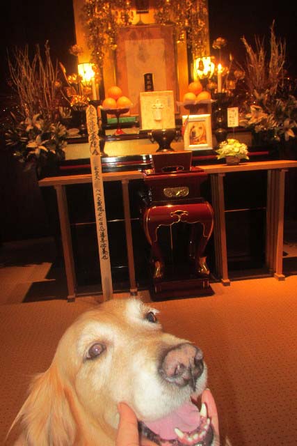 ファイル 3104-2.jpg