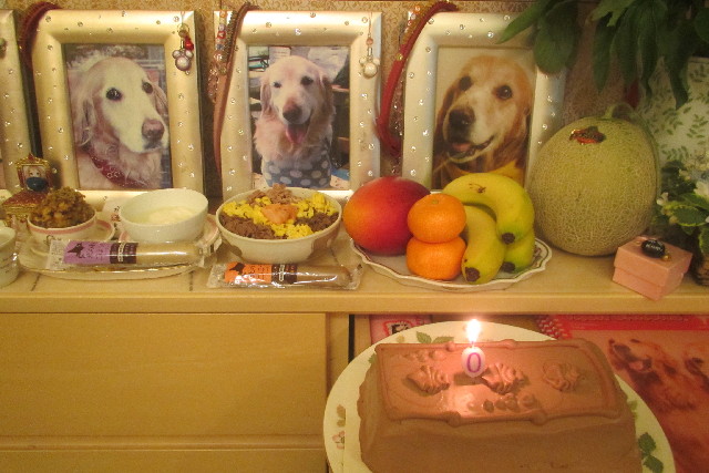 ファイル 3105-1.jpg