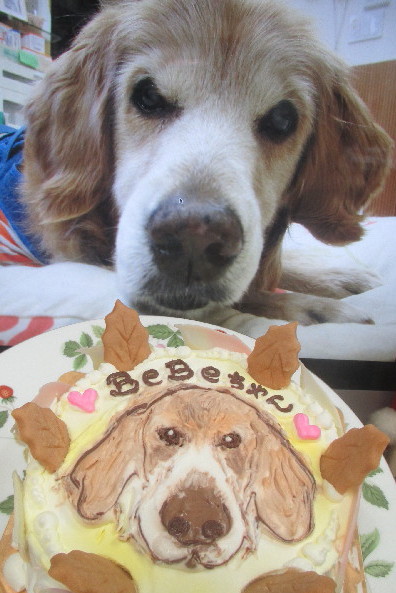 ファイル 3105-3.jpg