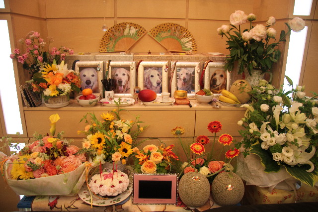 ファイル 3106-1.jpg