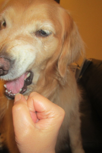 ファイル 3108-5.jpg