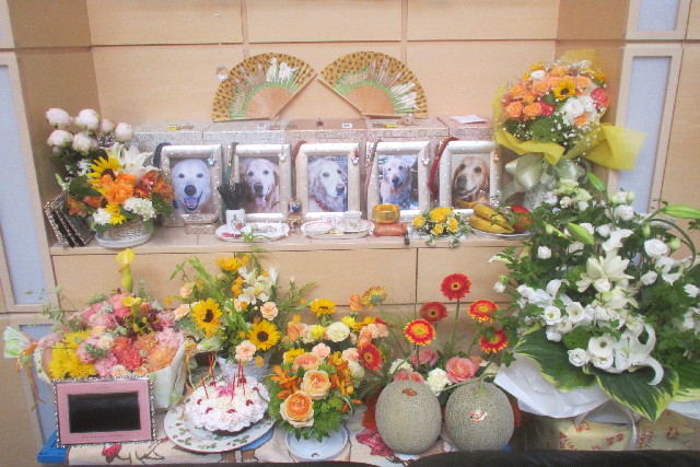 ファイル 3109-5.jpg