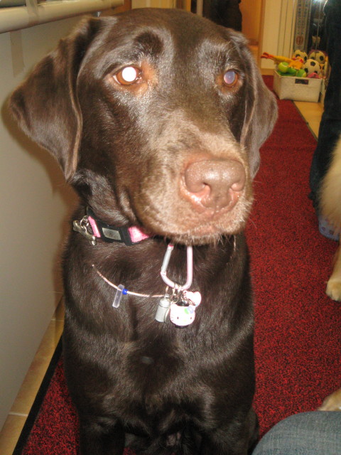 ファイル 311-3.jpg