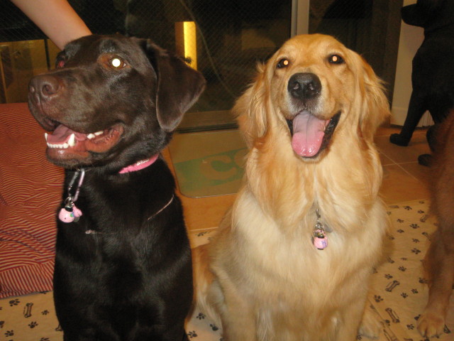 ファイル 311-4.jpg