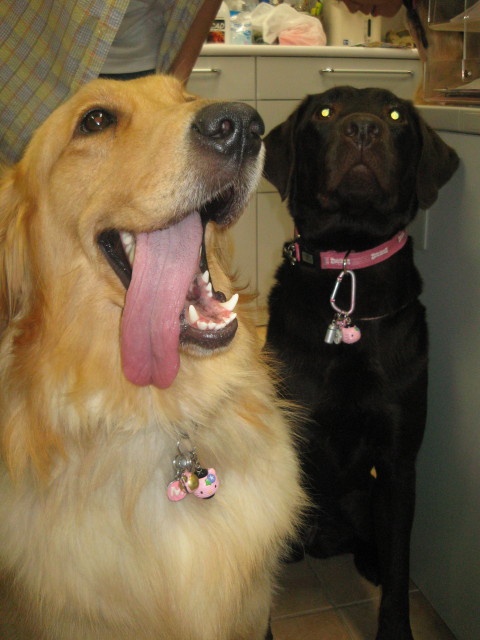 ファイル 311-5.jpg