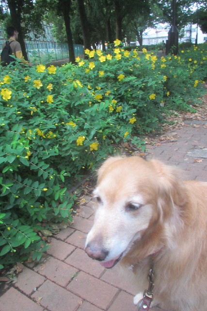 ファイル 3110-1.jpg