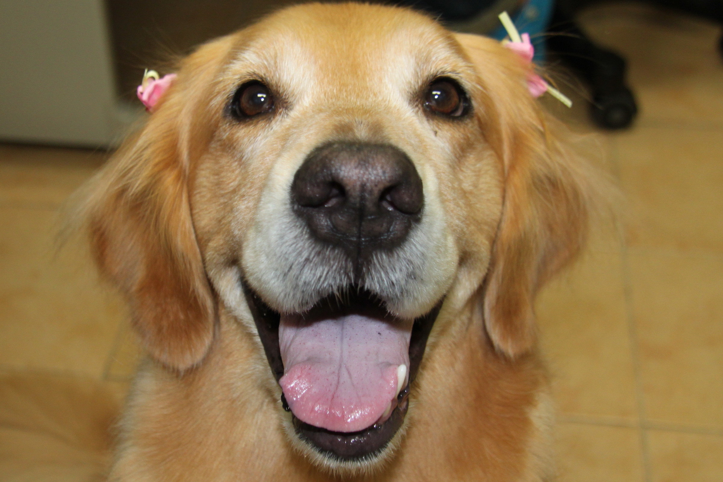 ファイル 3117-1.jpg