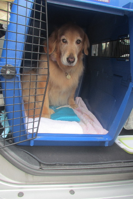 ファイル 3117-3.jpg