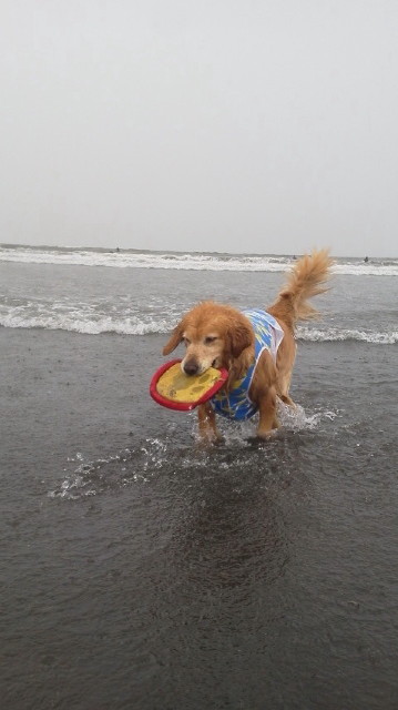 ファイル 3117-4.jpg