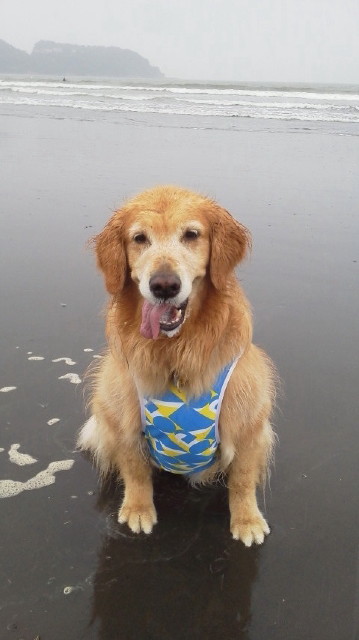 ファイル 3117-5.jpg