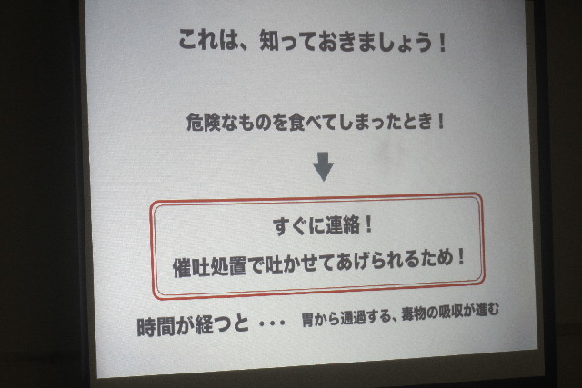 ファイル 3124-1.jpg