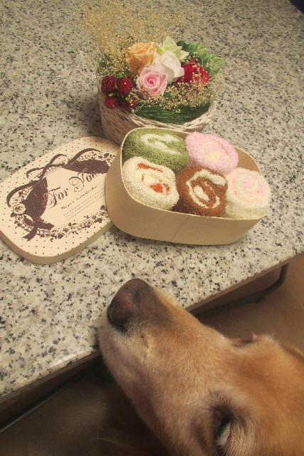 ファイル 3128-2.jpg