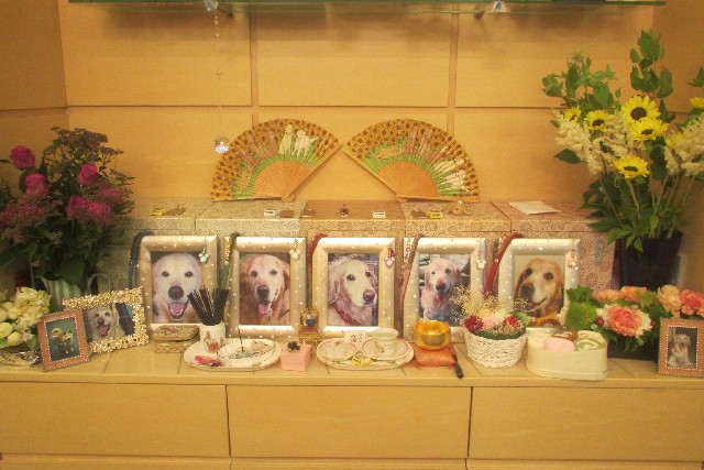 ファイル 3128-3.jpg