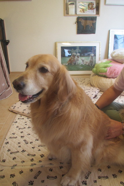 ファイル 3128-4.jpg