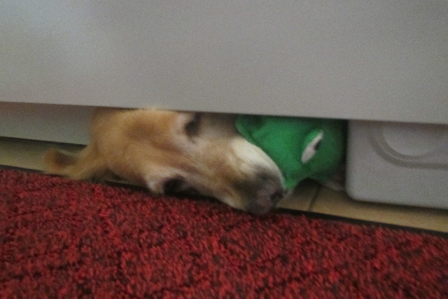 ファイル 3128-5.jpg