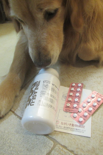 ファイル 3136-4.jpg