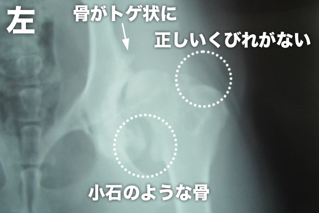 ファイル 3137-3.jpg