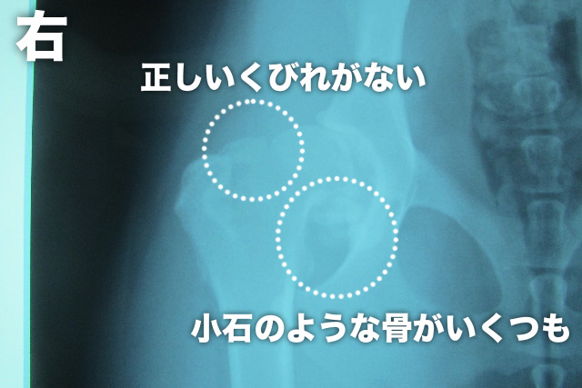 ファイル 3137-4.jpg