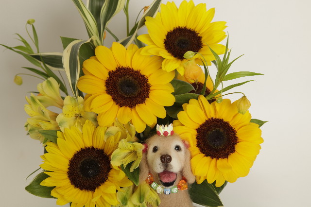 ファイル 3138-3.jpg