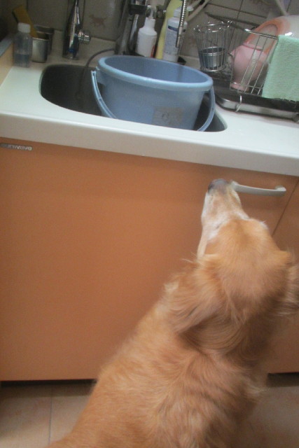 ファイル 3139-2.jpg