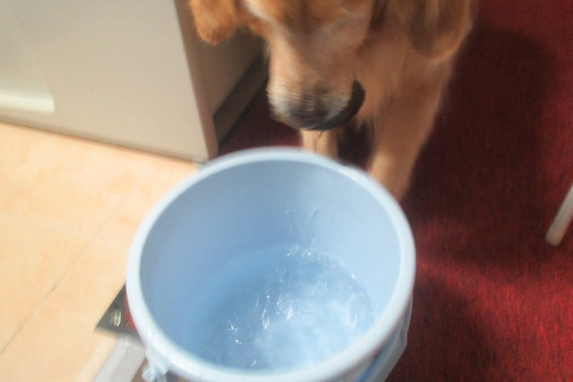 ファイル 3139-3.jpg