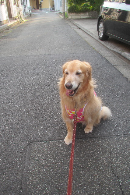 ファイル 3143-2.jpg