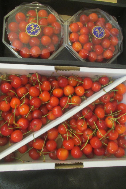 ファイル 3144-1.jpg