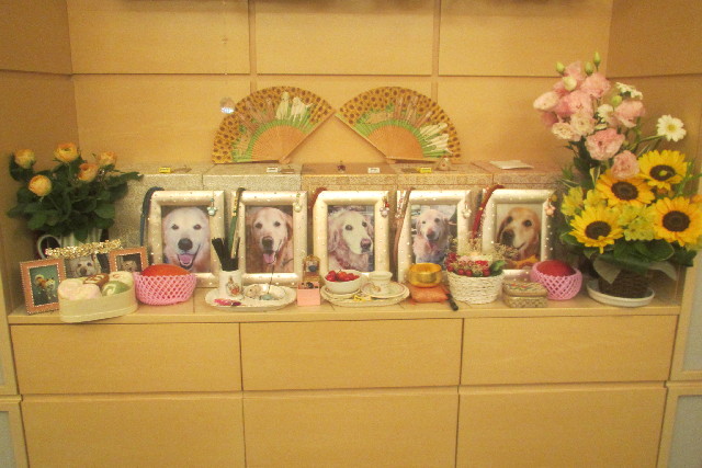 ファイル 3144-2.jpg