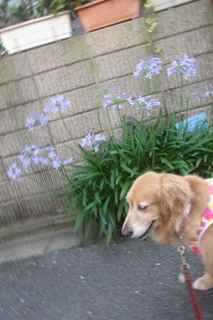 ファイル 3144-3.jpg