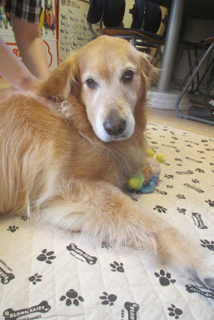 ファイル 3145-1.jpg