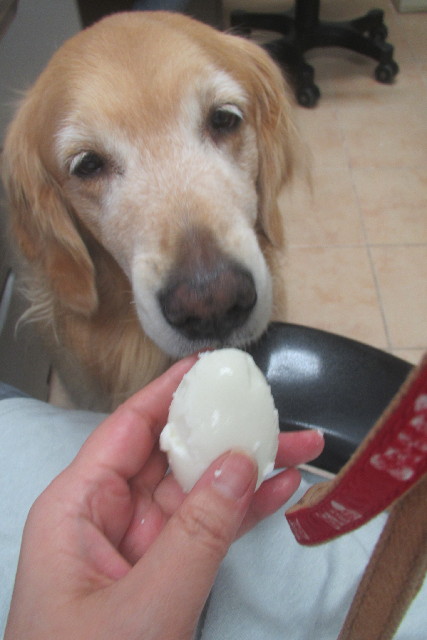 ファイル 3145-3.jpg