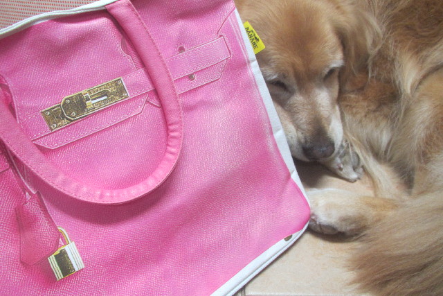 ファイル 3145-5.jpg