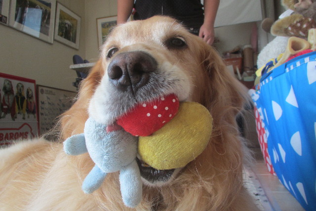 ファイル 3147-2.jpg