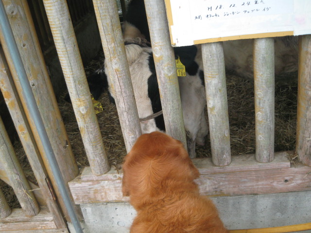 ファイル 315-2.jpg