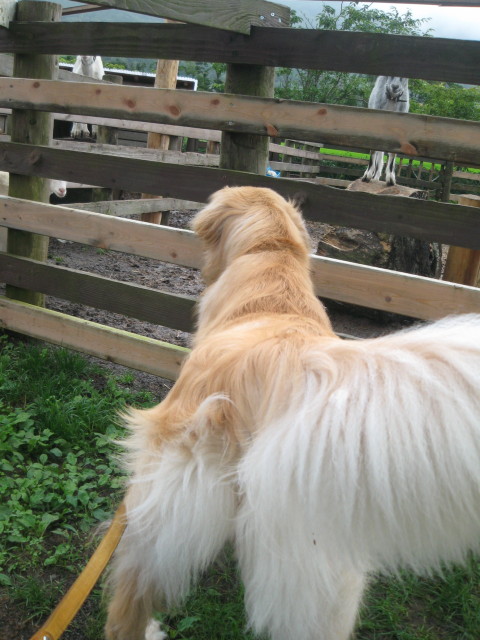 ファイル 315-3.jpg