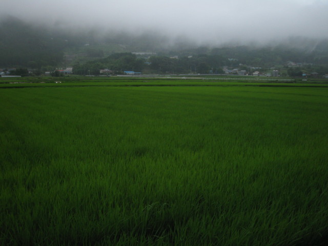 ファイル 315-5.jpg