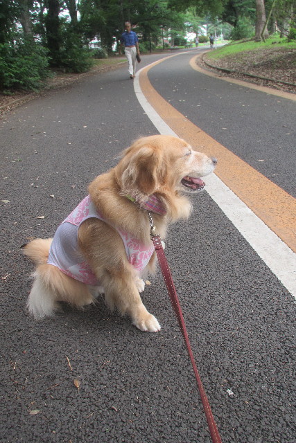 ファイル 3152-5.jpg