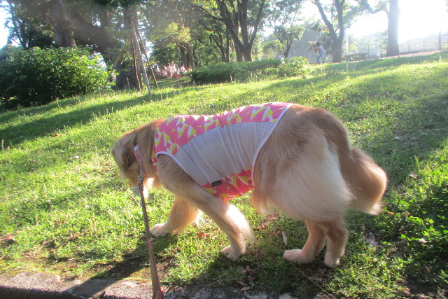 ファイル 3153-5.jpg