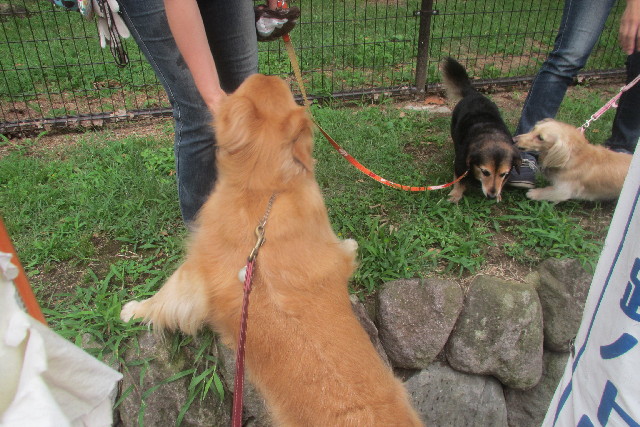 ファイル 3155-1.jpg