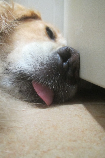 ファイル 3155-5.jpg