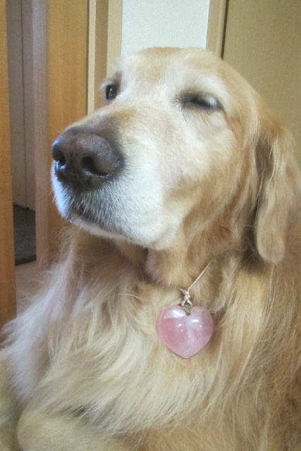 ファイル 3156-2.jpg