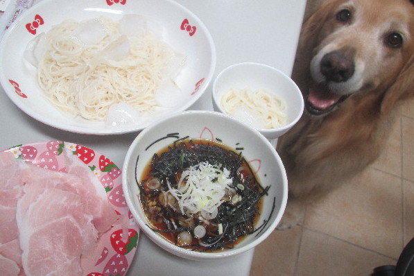 ファイル 3156-5.jpg