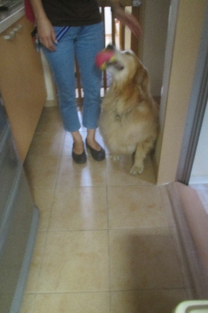 ファイル 3157-1.jpg