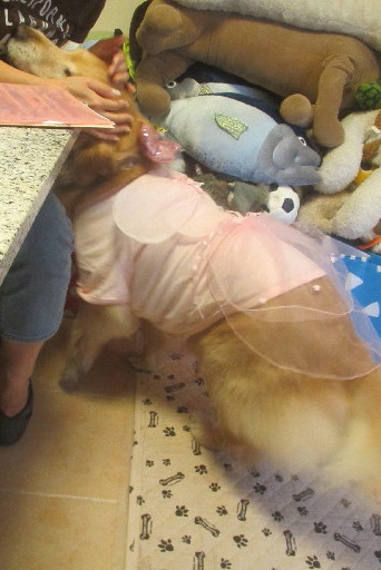 ファイル 3157-3.jpg