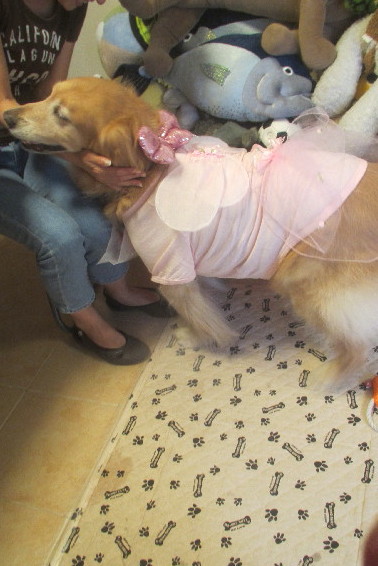 ファイル 3157-5.jpg