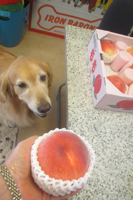 ファイル 3159-5.jpg