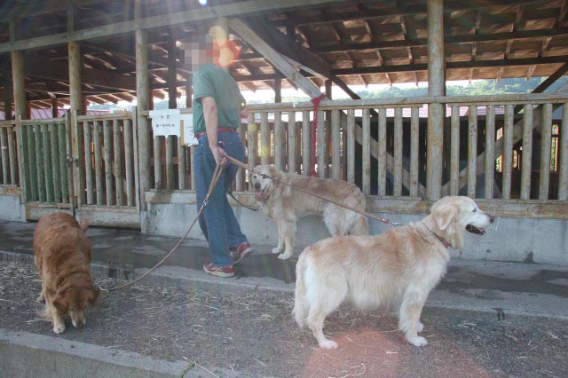 ファイル 316-2.jpg