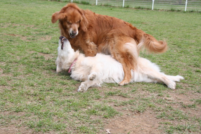 ファイル 316-4.jpg